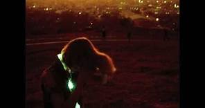 Neon Indian - The Blindside Kiss