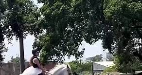 Grazi Massafera aprendendo a andar de cavalo para viver protagonista em “Dona Beja”. 🏇🏾 #GraziMassafera #Beja #DonaBeja #Equitação | Grazi Massafera News