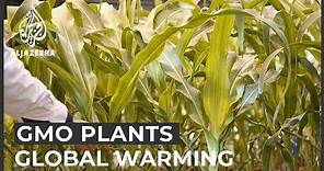 Planet SOS: Can GMO plants stop global warming?