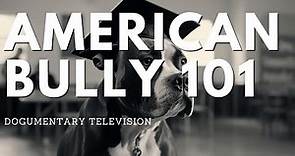 AMERICAN BULLY DOGS 101