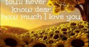 Elizabeth Mitchell - You Are My Sunshine lyrics