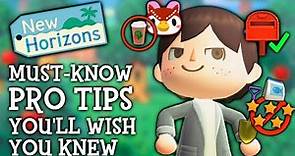 15 Tips I WISH I Knew Sooner In Animal Crossing New Horizons