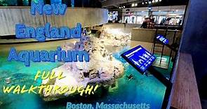 A Trip to the New England Aquarium, Boston, MA, May 2021. Full Walkthrough.