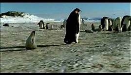 Die Reise der Pinguine ( Trailer dt)