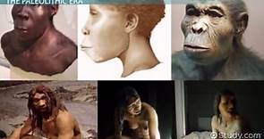 Paleolithic Age | Definition, Tools & Characteristics