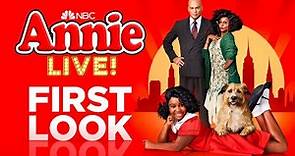 ANNIE LIVE! An All-Star Holiday Celebration