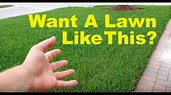 How To Fix An Ugly Lawn | Lawn Care Tips For Beginners