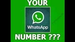 How to find someone's whatsapp number easily | MUST WATCH | MARCH 2017