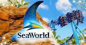 2024 SeaWorld Orlando Guide: 12 SECRET Tips for YOUR First Visit