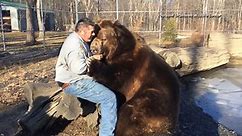 Now This Is How You Give a Bear Hug