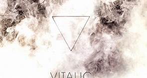 Vitalic - Disco Terminateur