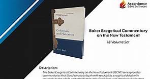 Baker Exegetical Commentary NT