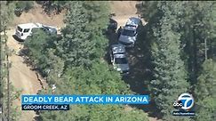 Bear kills man in Prescott, Arizona; bear shot dead by neighbor