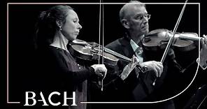 Bach - Brandenburg Concerto no. 5 in D major BWV 1050a - Sato | Netherlands Bach Society