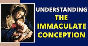What does Immaculate Conception mean? (Immaculate Conception of MARY)