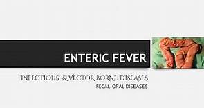 Fecal-Oral Diseases: Enteric Fever (Typhoid) Lecture
