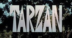 Tarzan (serie televisiva 1966 con Ron Ely) S01E01 Gli occhi del leone