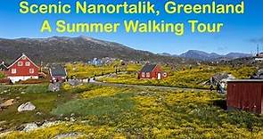 Nanortalik, Greenland Walking Tour - Wildflowers, Icebergs & Music