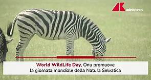 Oggi è il World Wildlife Day, cos'è