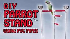 DIY Parrot Stand | How to build a Bird Perch Stand using PVC P...