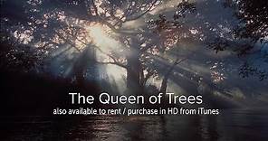 The Queen of Trees - OFFICIAL