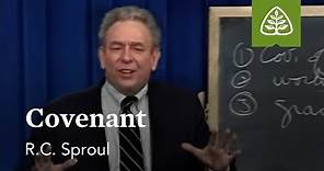 Covenant: What is Reformed Theology? with R.C. Sproul