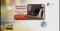 Diario CRóNICA - Es por esto que la televisión paraguaya...