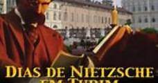 Días de Nietzsche en Turín (2001) Online - Película Completa en Español - FULLTV