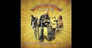 The Todd Wolfe Band - Live