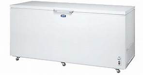 【SANLUX 台灣三洋】600L 上掀式-30℃低溫冷凍櫃 (SCF-610T) - PChome 24h購物