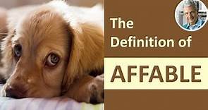 What Is the Definition of AFFABLE? (Illustrated Example)