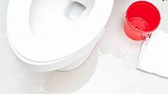 How to Fix a Toilet That’s Leaking Around the Base