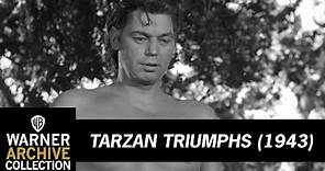 Tarzan Feeds Nazi To Lion | Tarzan Triumphs | Warner Archive