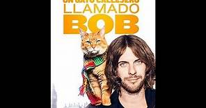 Un Gato Callejero Llamado Bob - (Película Completá) Español