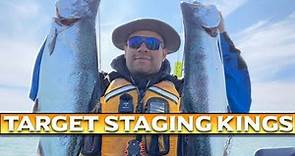3 Must Have Lures To Target Staging King Salmon on Lake Michigan