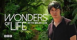 Wonders of Life with Brian Cox | BBC Select