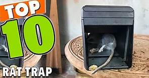 Best Rat Trap In 2024 - Top 10 Rat Traps Review