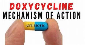Doxycycline uses against acne and chlamydia | Mechanism of action