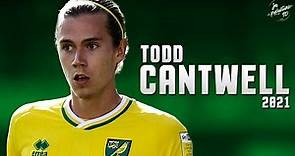 Todd Cantwell 2021 ► Amazing Skills, Assists & Goals - Norwich City | HD