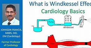 What is Windkessel effect? Cardiology Basics