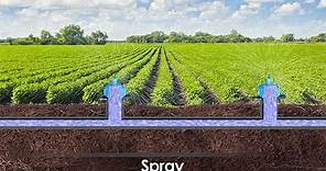 What Is Irrigation?