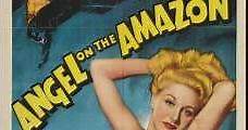 Tambores sobre el amazonas (1948) Online - Película Completa en Español - FULLTV