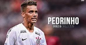 Pedrinho ► Corinthians - Skills, Goals & Assists 2018/2019 IHD