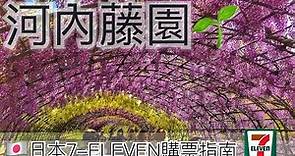 河內藤園 日本7-ELEVEN 購票指南 紫藤花 九州福岡