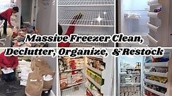 MASSIVE CLEAN, DECLUTTER, ORGANIZE, AND RESTOCK WITH ME | STOCK YOUR FREEZER FOR LESS 2024