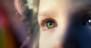 戴角膜塑型片 點眼藥水！9歲女童矯正近視2年「左眼失明」　醫判賠903萬 | ETtoday社會新聞 | ETtoday新聞雲