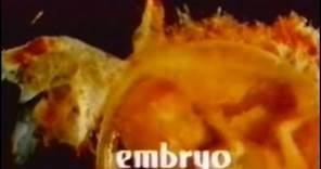 Embryo (1976) [Science Fiction] [Horror]