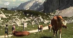 Los Alpes Bávaros: de cima a cima | Destino Alemania