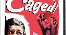 Sin remisión / Caged (1950) Online - Película Completa en Español - FULLTV