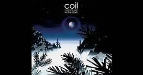 Coil - "Are You Shivering?" (Official Remastered Audio)